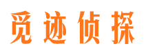 石屏调查事务所